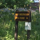 Review photo of Walnut Woods State Park Campground by Matt S., July 20, 2017