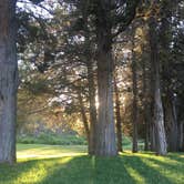 Review photo of Tumalo State Park Campground by Erin P., July 20, 2017