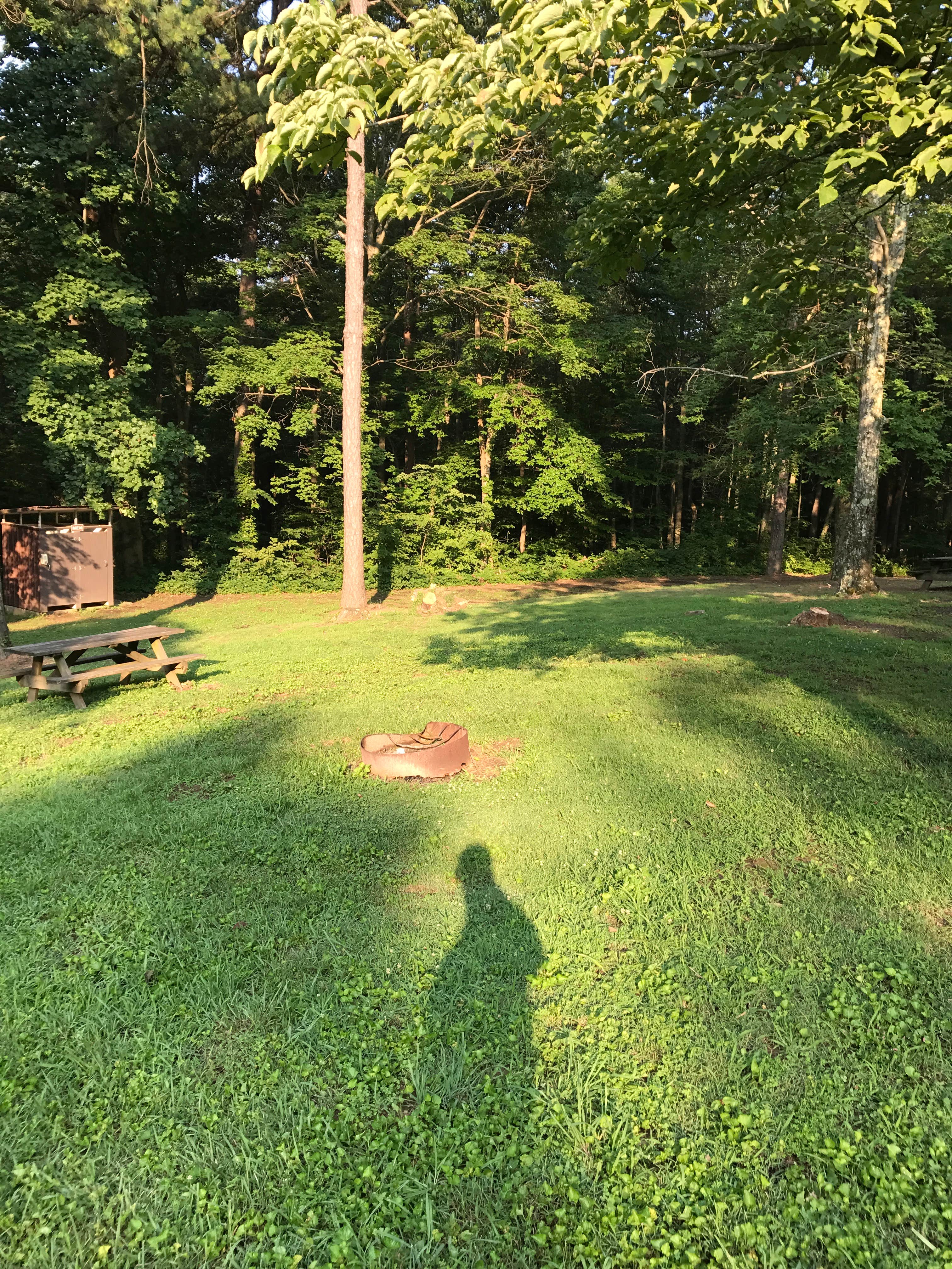 Camper-submitted photo at Tar Hollow State Park Campground near Lockbourne, OH