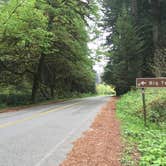Review photo of Flint Ridge Backcountry Site - Redwood National and State Park by SwitchbackKids , July 20, 2017