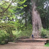 Review photo of Flint Ridge Backcountry Site - Redwood National and State Park by SwitchbackKids , July 20, 2017