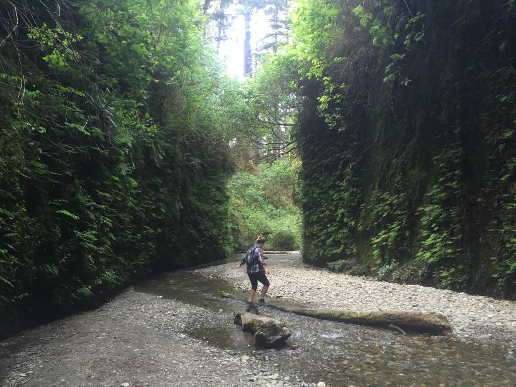 Camper submitted image from Flint Ridge Backcountry Site - Redwood National and State Park - 3