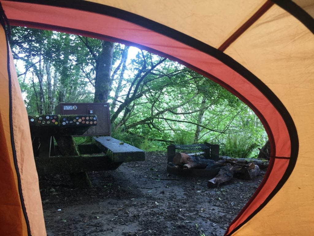 Camper submitted image from Flint Ridge Backcountry Site - Redwood National and State Park - 5