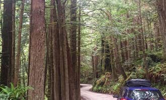 Camping near Gold Bluffs Beach Campground — Prairie Creek Redwoods State Park: Flint Ridge Backcountry Site - Redwood National and State Park, Redwood National Park, California