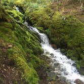 Review photo of Goodell Creek Campground — Ross Lake National Recreation Area by SwitchbackKids , July 20, 2017