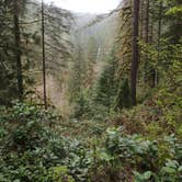 Review photo of Smith Creek Village — Silver Falls State Park by Tj B., July 19, 2017
