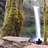 Review photo of Smith Creek Village — Silver Falls State Park by Tj B., July 19, 2017