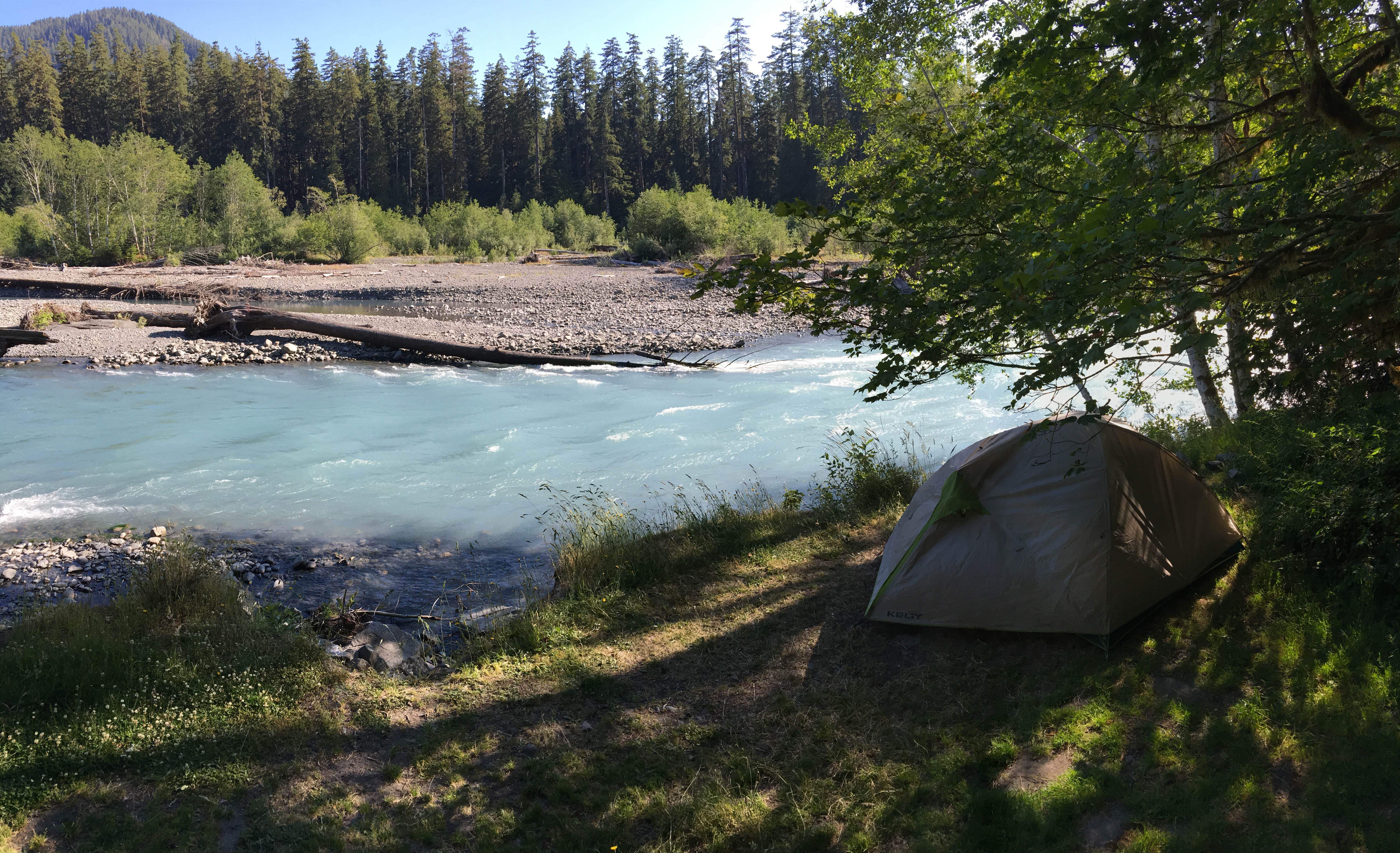 heidi T.'s photo at Hoh Rain Forest - Olympic National Park near Olympic National Park