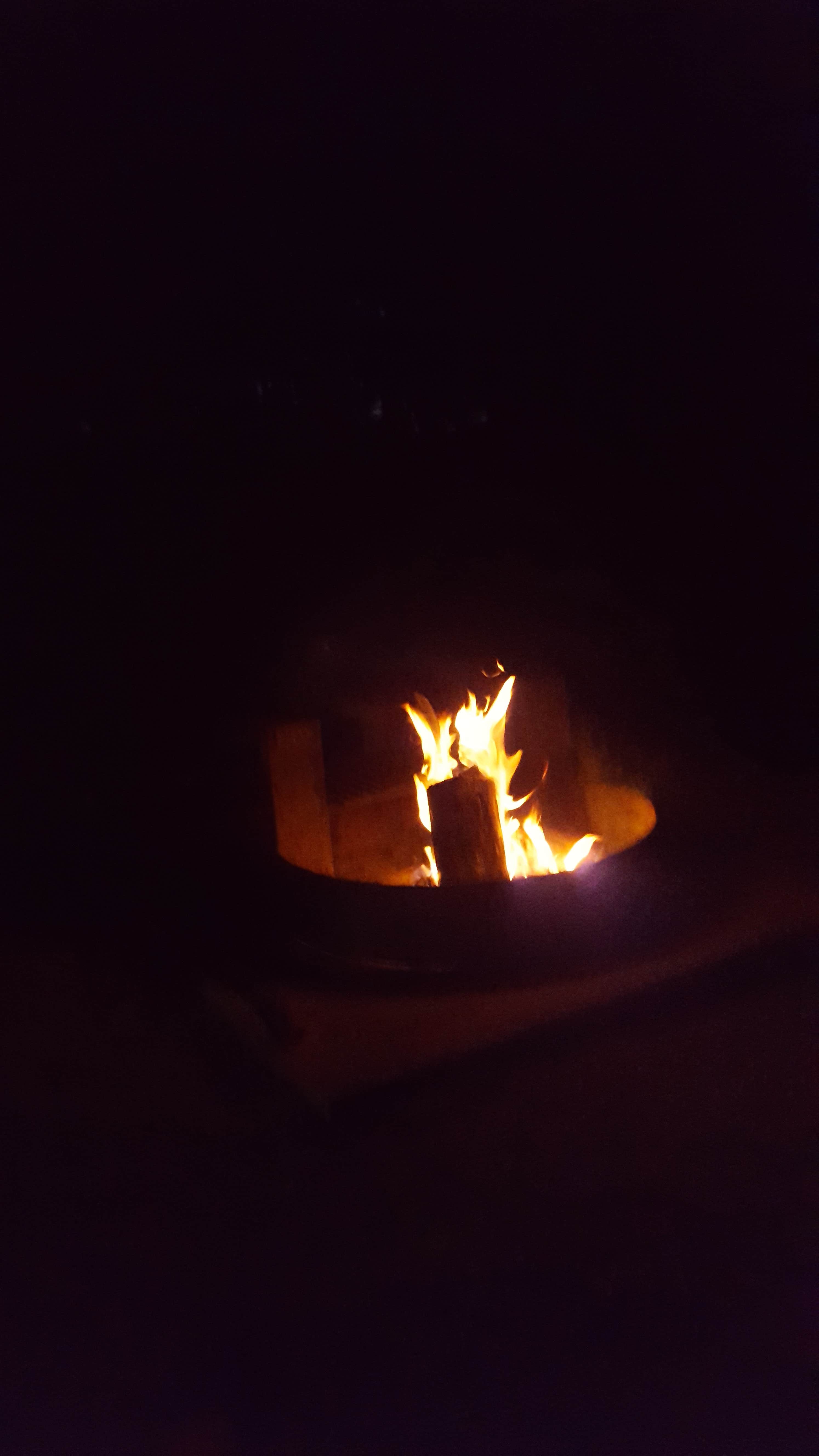 Camper submitted image from Weston Bend State Park Campground - 5
