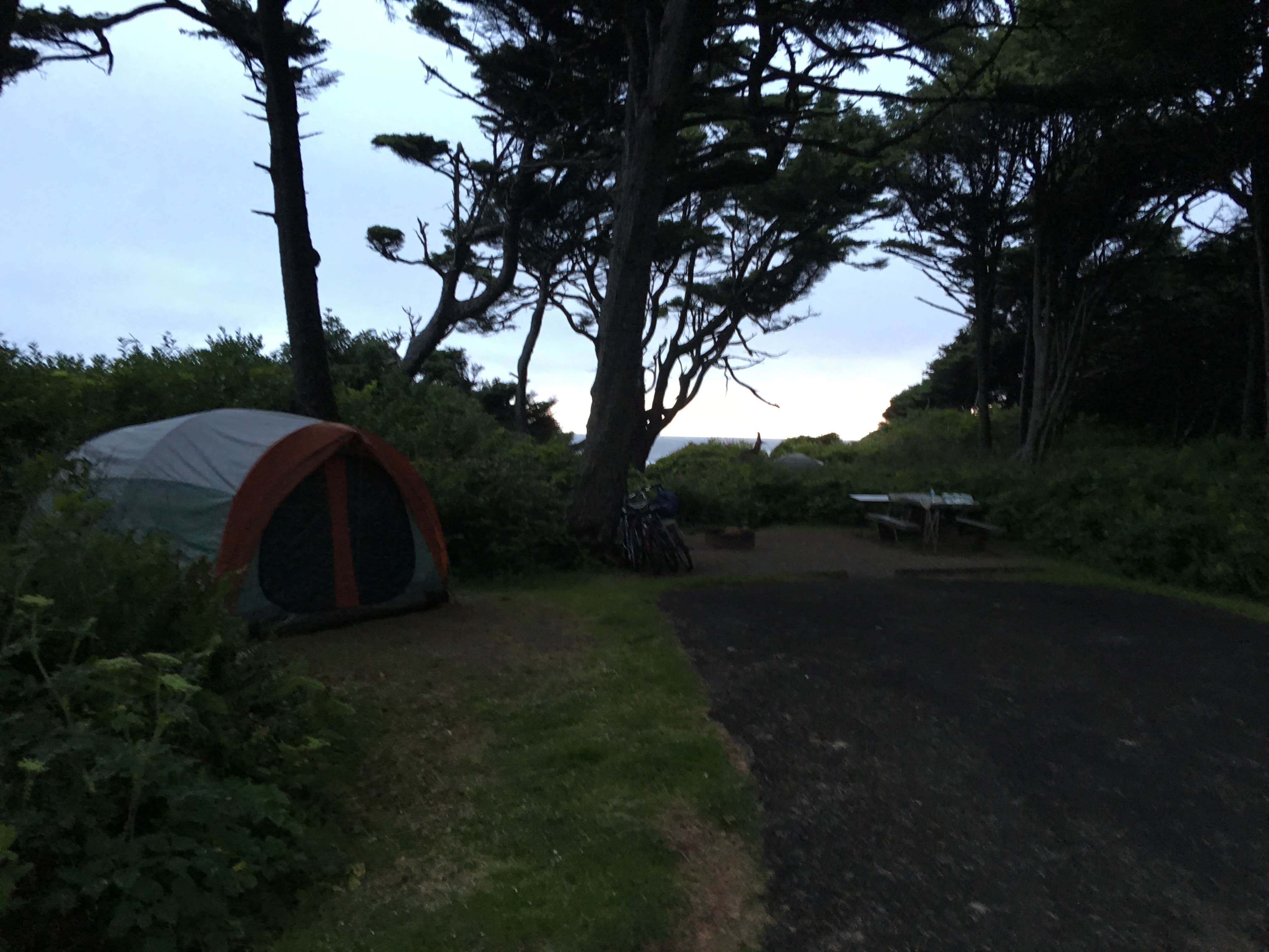 heidi T.'s photo at Kalaloch Campground - group — Olympic National Park near Taholah, WA
