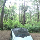 Review photo of Kalaloch Campground - group — Olympic National Park by heidi T., July 20, 2017