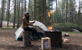 heidi T.'s photo of tent camping at Donner Memorial State Park Campground near Clio, CA