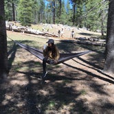 Review photo of Donner Memorial State Park Campground by heidi T., July 20, 2017