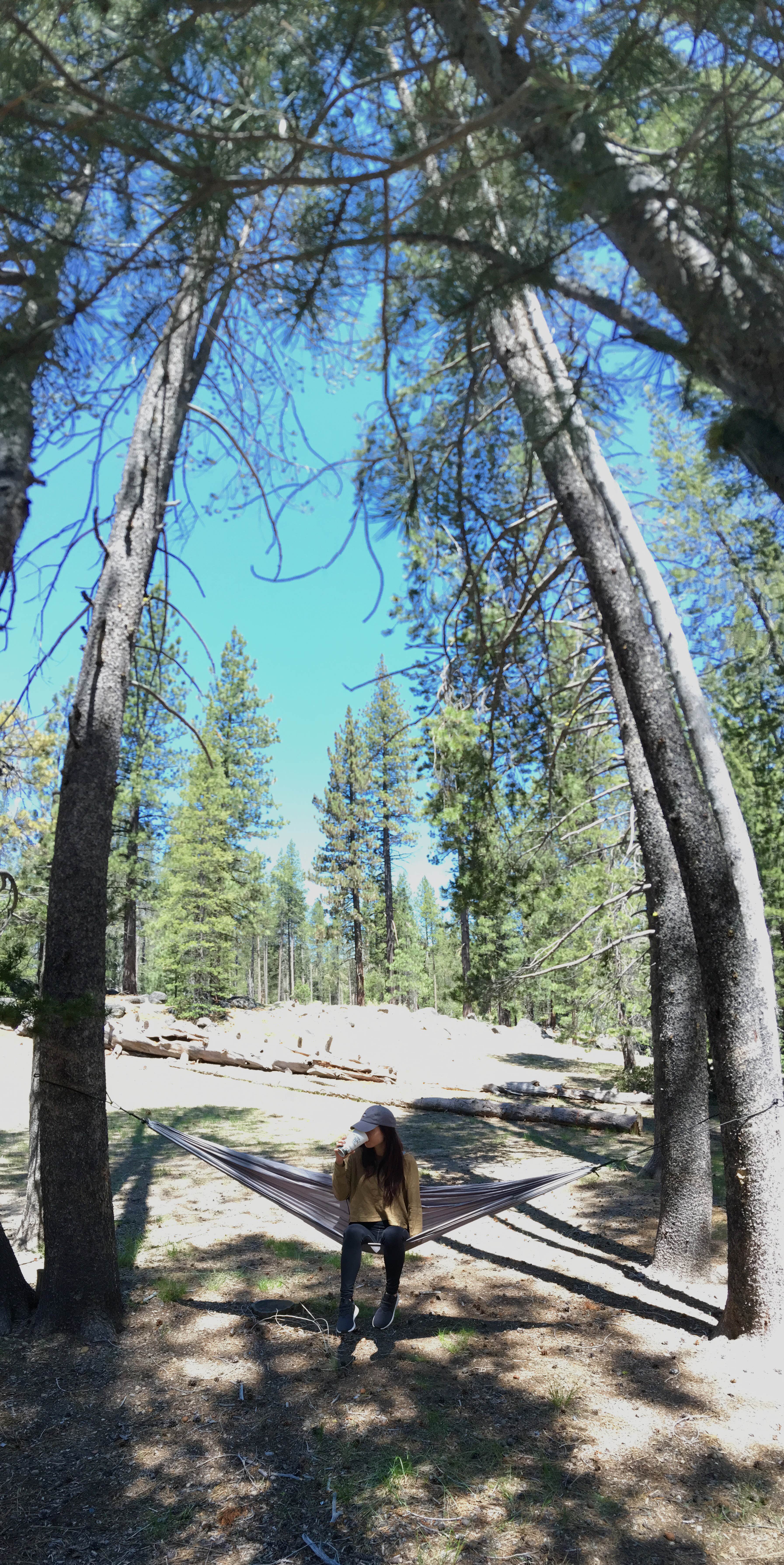 Camper submitted image from Donner Memorial State Park - 3
