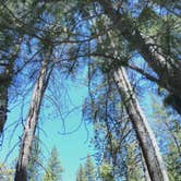 Review photo of Donner Memorial State Park Campground by heidi T., July 20, 2017