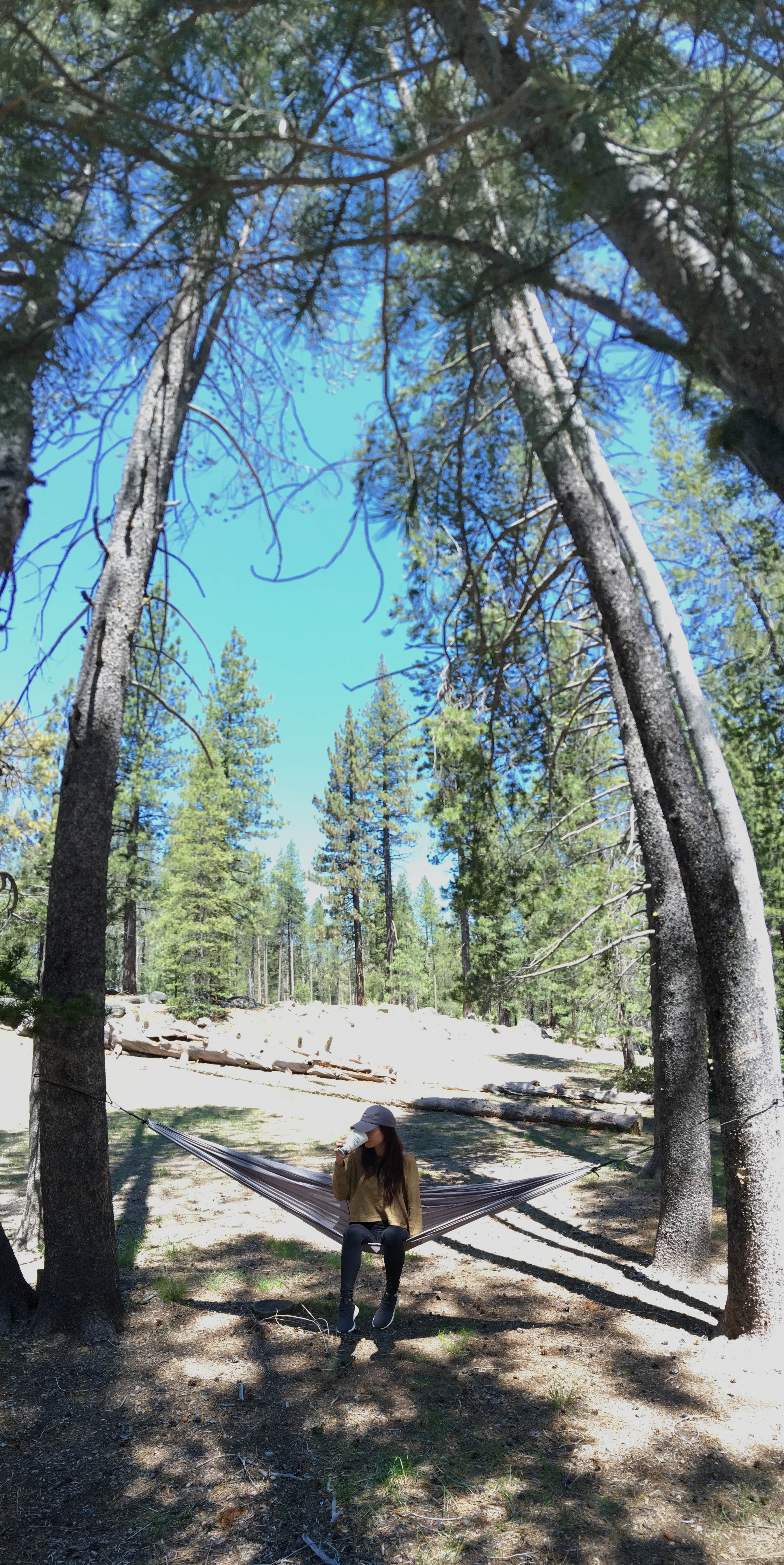 Camper submitted image from Donner Memorial State Park Campground - 3