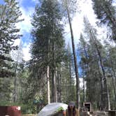 Review photo of Donner Memorial State Park Campground by heidi T., July 20, 2017