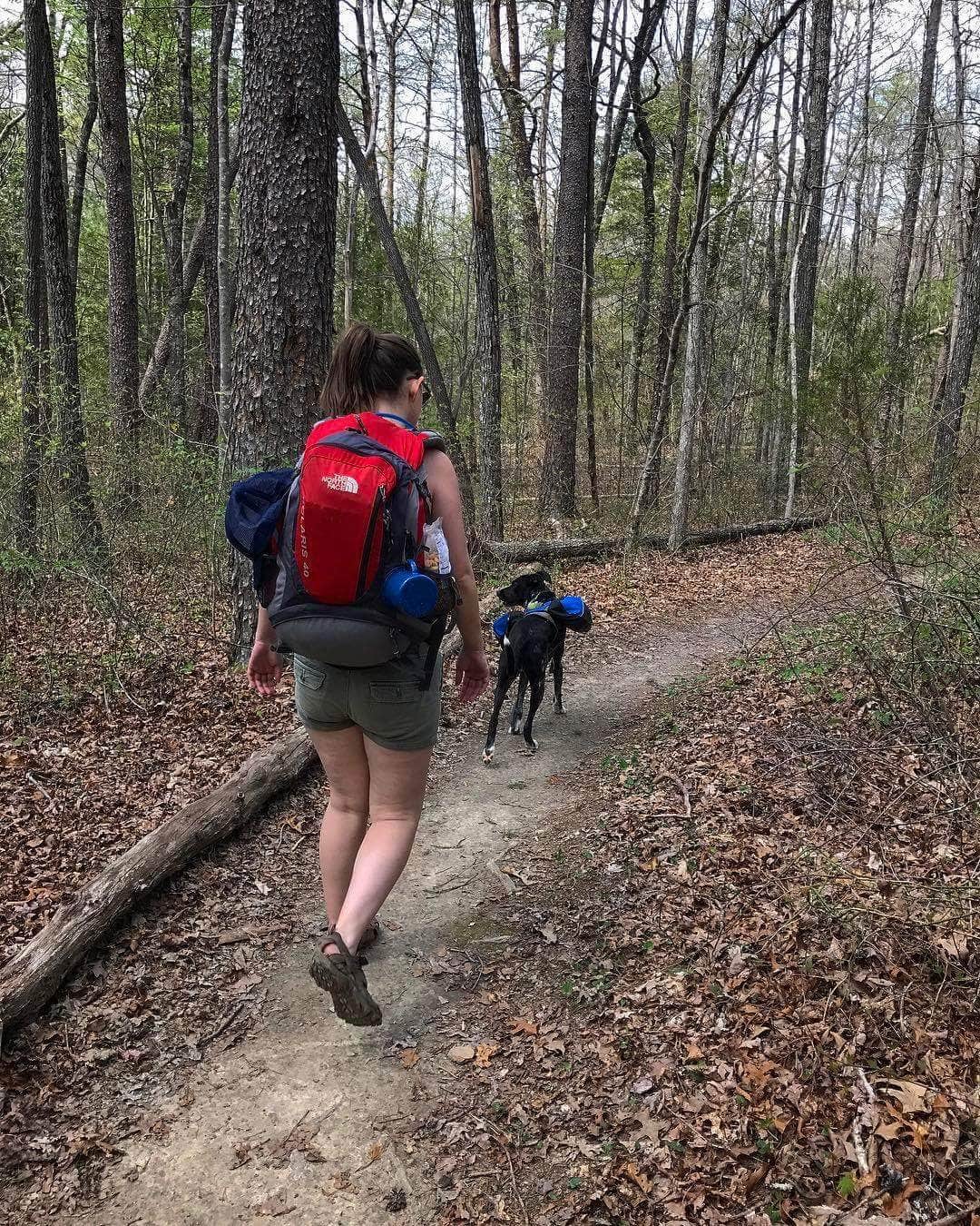 Camper-submitted photo at Alum Gap Campground — Savage Gulf State Park near Signal Mountain, TN