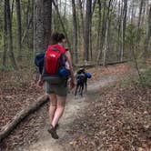 Review photo of Alum Gap Campground — Savage Gulf State Park by Brittany S., July 20, 2017