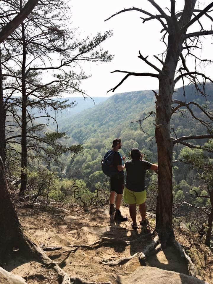 Camper submitted image from Alum Gap Campground — Savage Gulf State Park - 3