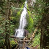 Review photo of Hoh Rain Forest - Olympic National Park by SwitchbackKids , July 20, 2017