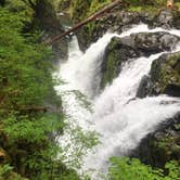 Review photo of Hoh Rain Forest - Olympic National Park by SwitchbackKids , July 20, 2017