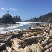 Review photo of Hoh Rain Forest - Olympic National Park by SwitchbackKids , July 20, 2017