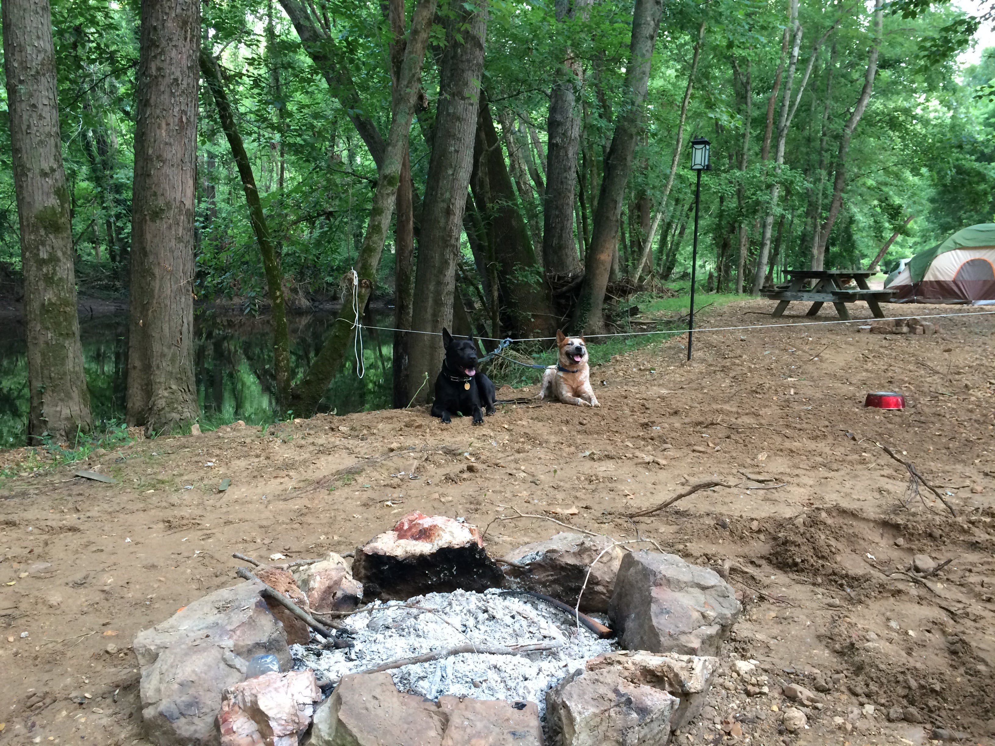 Camper submitted image from Ozark Riverfront Campground - 4