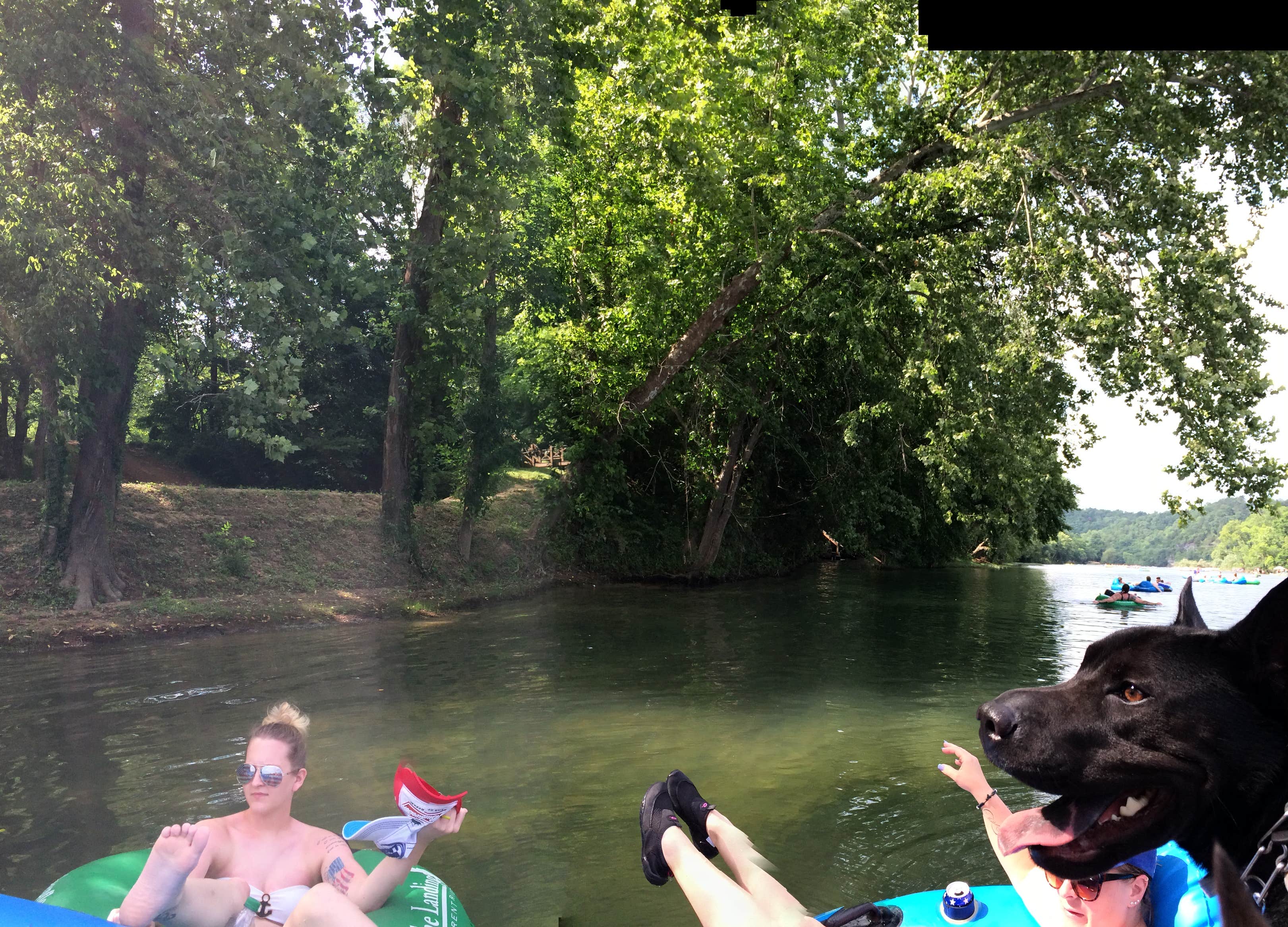 Camper submitted image from Ozark Riverfront Campground - 5