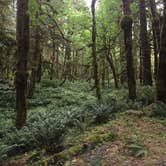 Review photo of Graves Creek Campground — Olympic National Park by Amy S., July 21, 2017