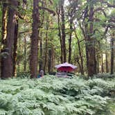 Review photo of Graves Creek Campground — Olympic National Park by Amy S., July 21, 2017