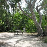 Review photo of John Pennekamp Coral Reef State Park Campground by Elliott B., June 1, 2017