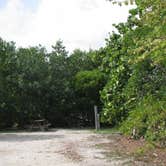 Review photo of John Pennekamp Coral Reef State Park Campground by Elliott B., June 1, 2017