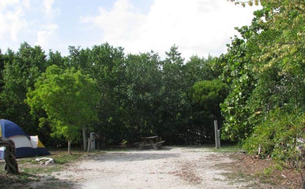 Camper submitted image from John Pennekamp Coral Reef State Park Campground - 5