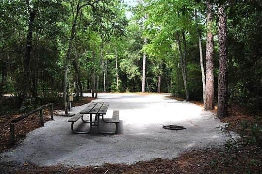 Camper submitted image from Wekiwa Springs State Park Campground - 4
