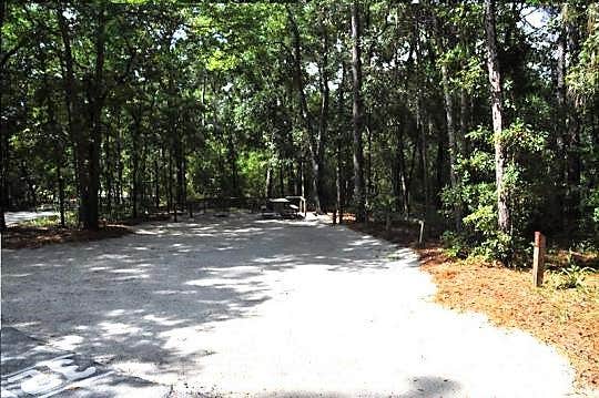 Camper submitted image from Wekiwa Springs State Park Campground - 2