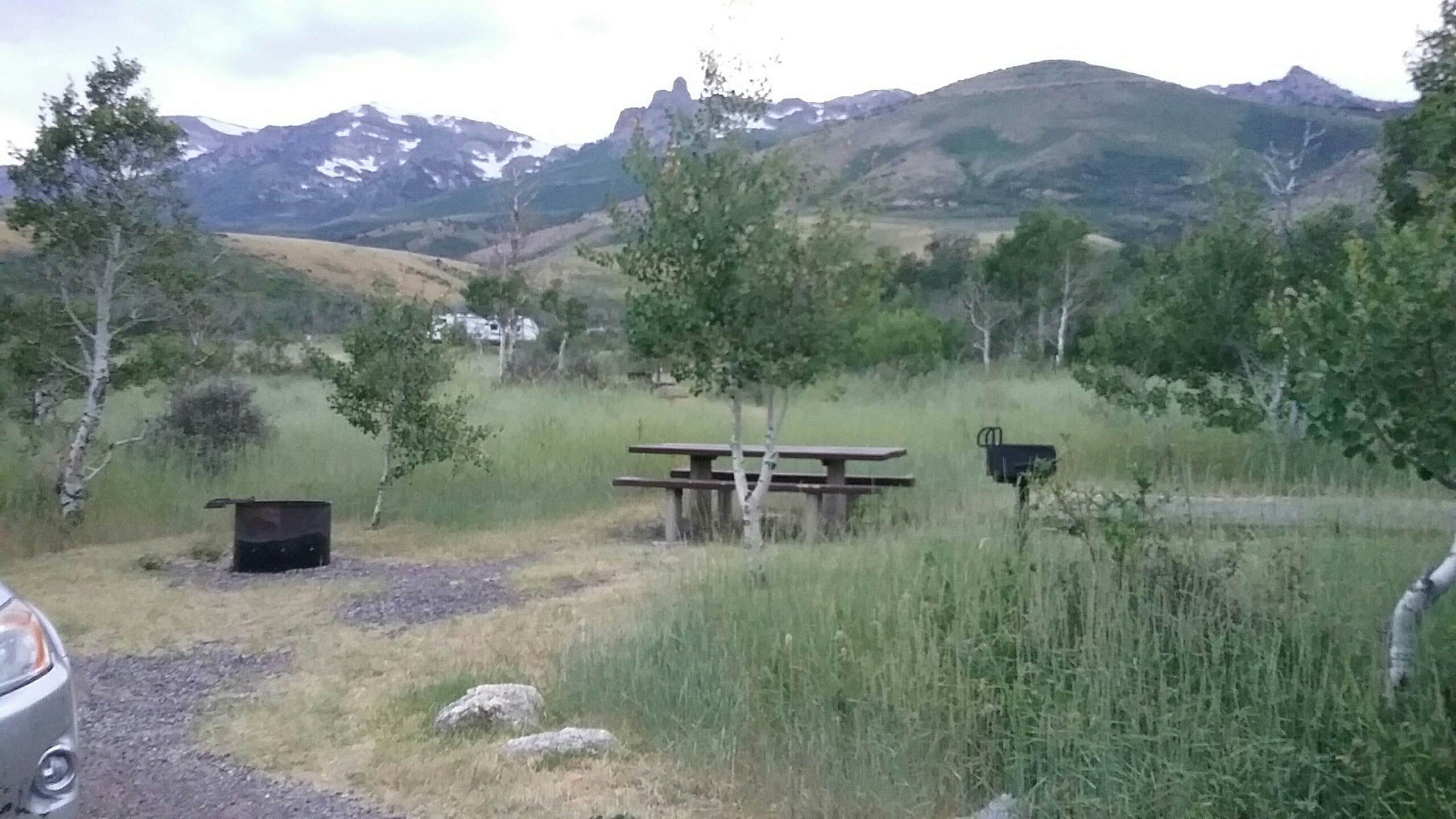 Camper submitted image from Humboldt National Forest Angel Creek Campground - 4
