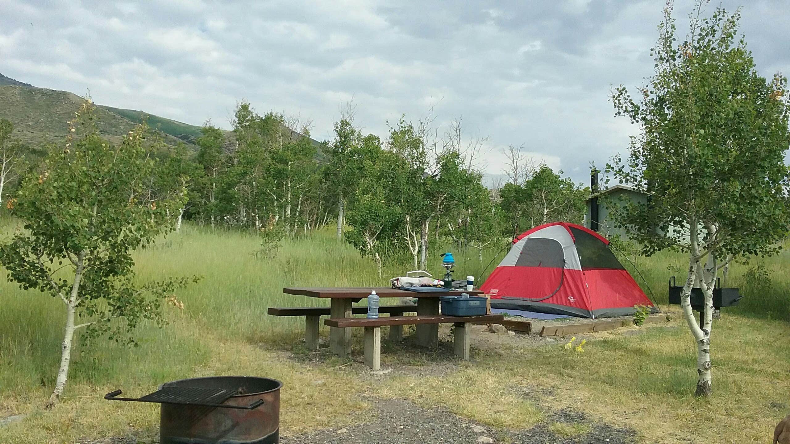 Camper submitted image from Humboldt National Forest Angel Creek Campground - 2