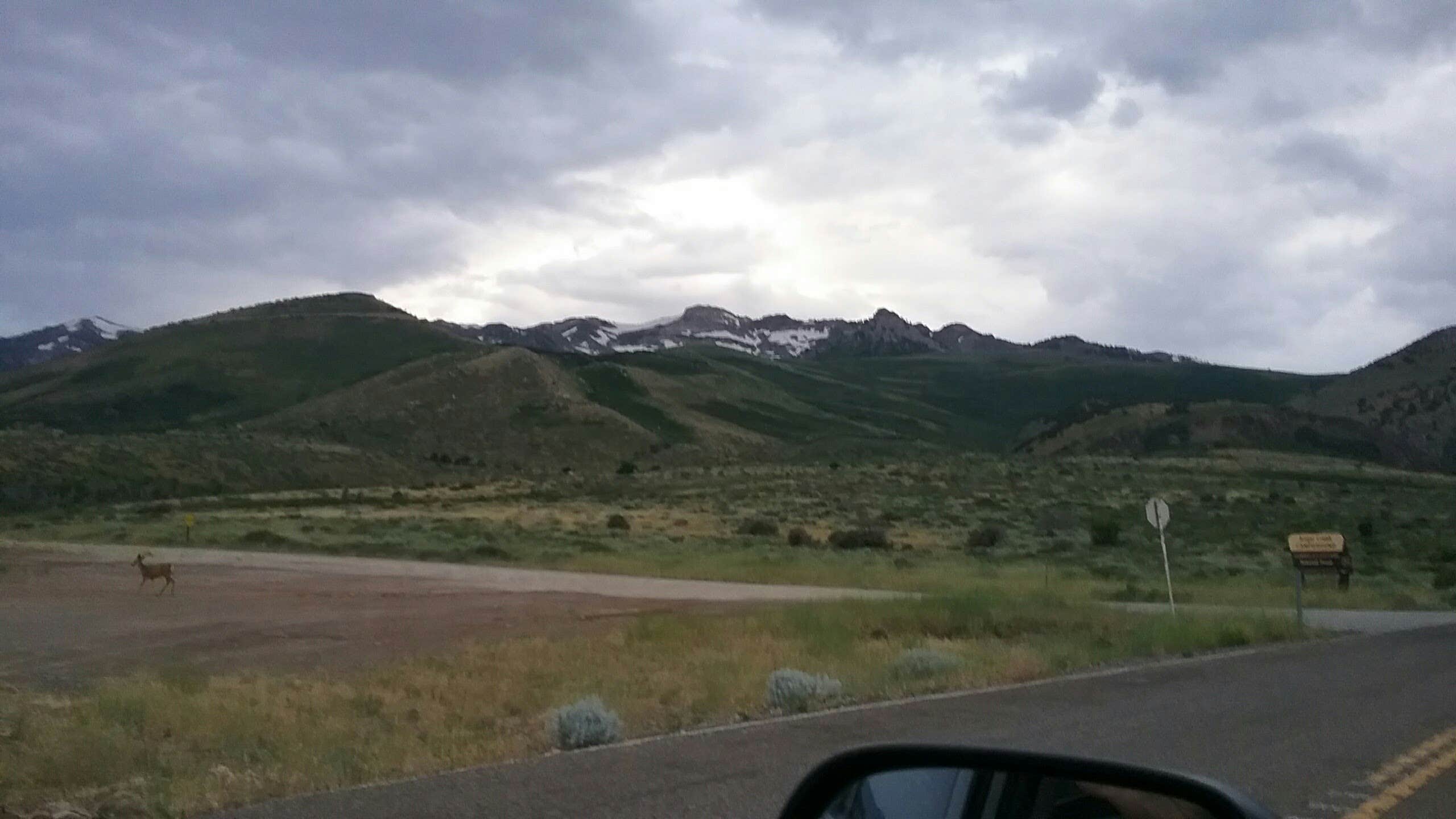 Camper submitted image from Humboldt National Forest Angel Creek Campground - 3