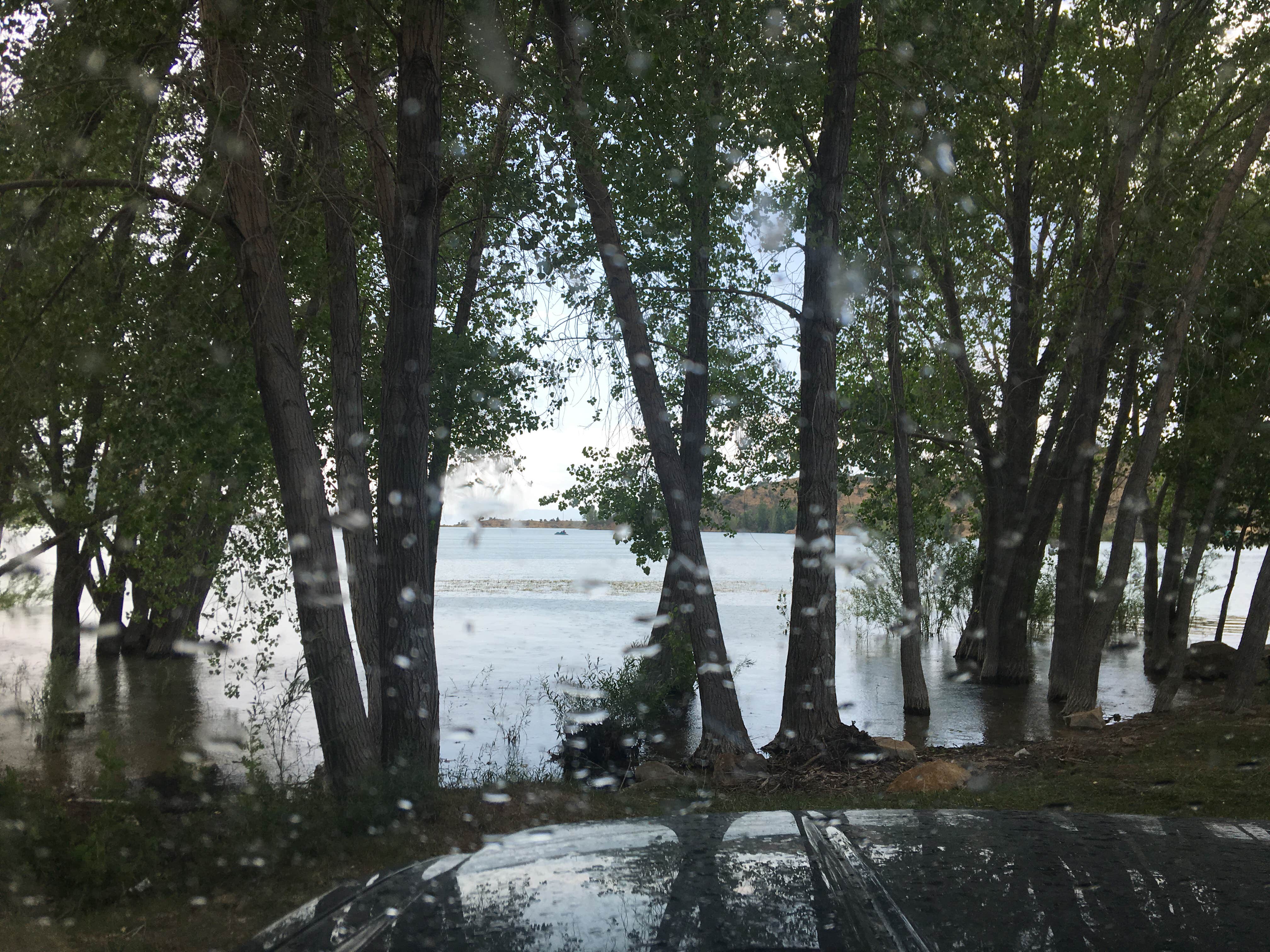 Camper-submitted photo at Palisade State Park Campground near Fayette, UT