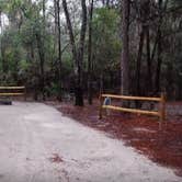 Review photo of Wekiwa Springs State Park Campground by Elliott B., May 3, 2017