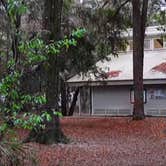 Review photo of Wekiwa Springs State Park Campground by Elliott B., May 3, 2017