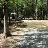 Review photo of Disney’s Fort Wilderness Resort & Campground by Elliott B., May 24, 2017