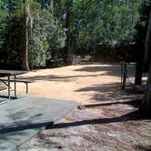 Review photo of Disney’s Fort Wilderness Resort & Campground by Elliott B., May 24, 2017
