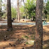 Review photo of Disney’s Fort Wilderness Resort & Campground by Elliott B., May 24, 2017