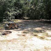 Review photo of Falling Waters State Park Campground by Elliott B., May 11, 2017
