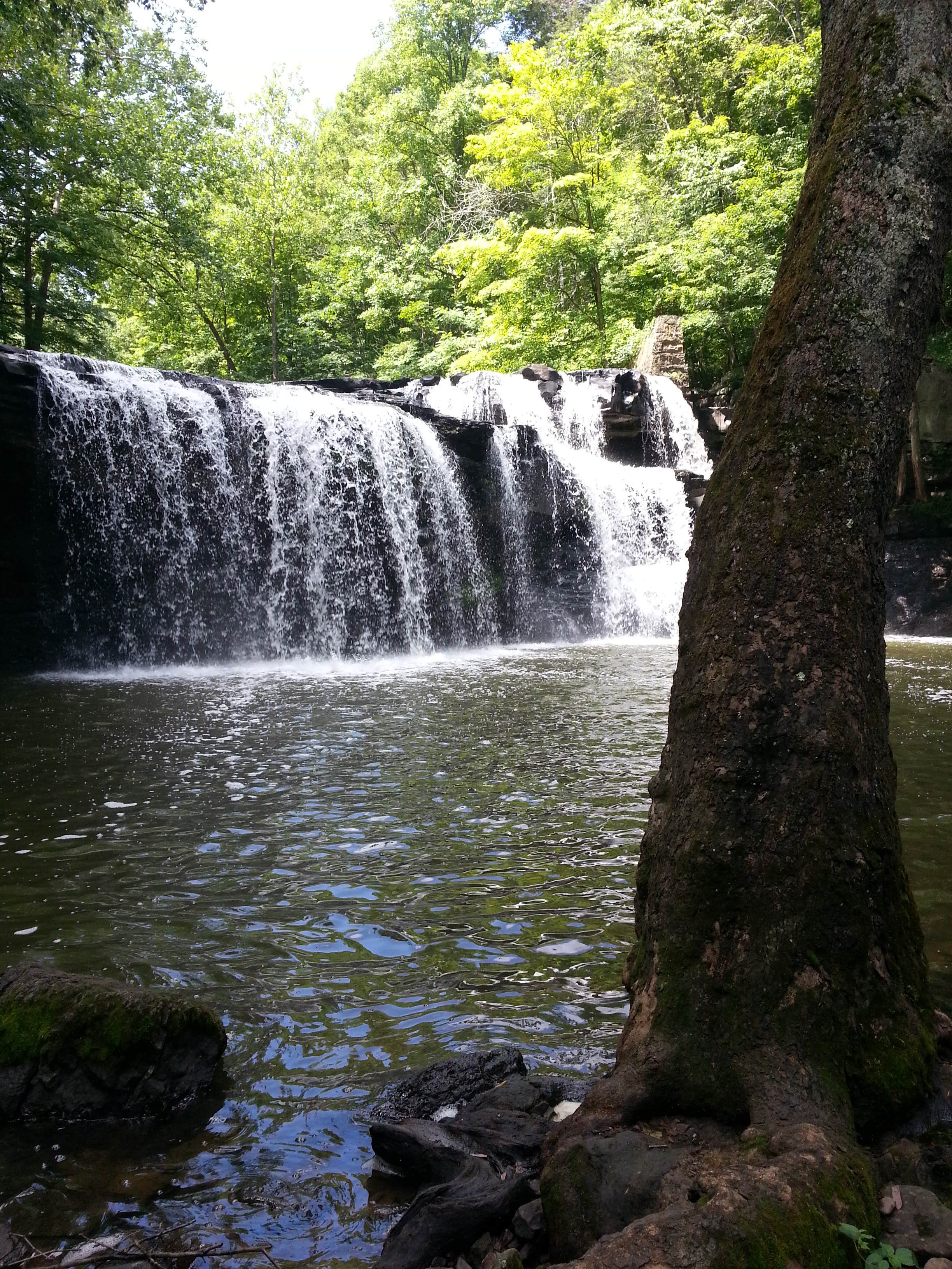 Camper submitted image from Pipestem Resort State Park Campground - 1