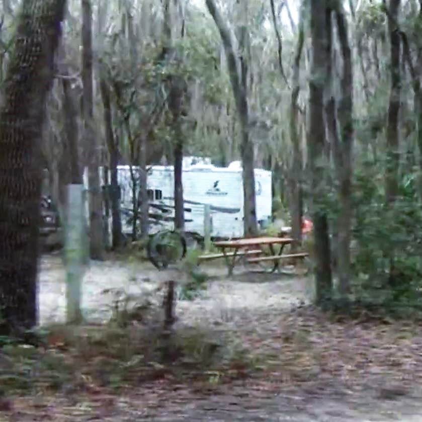 Lithia Springs Conservation Park Camping The Dyrt