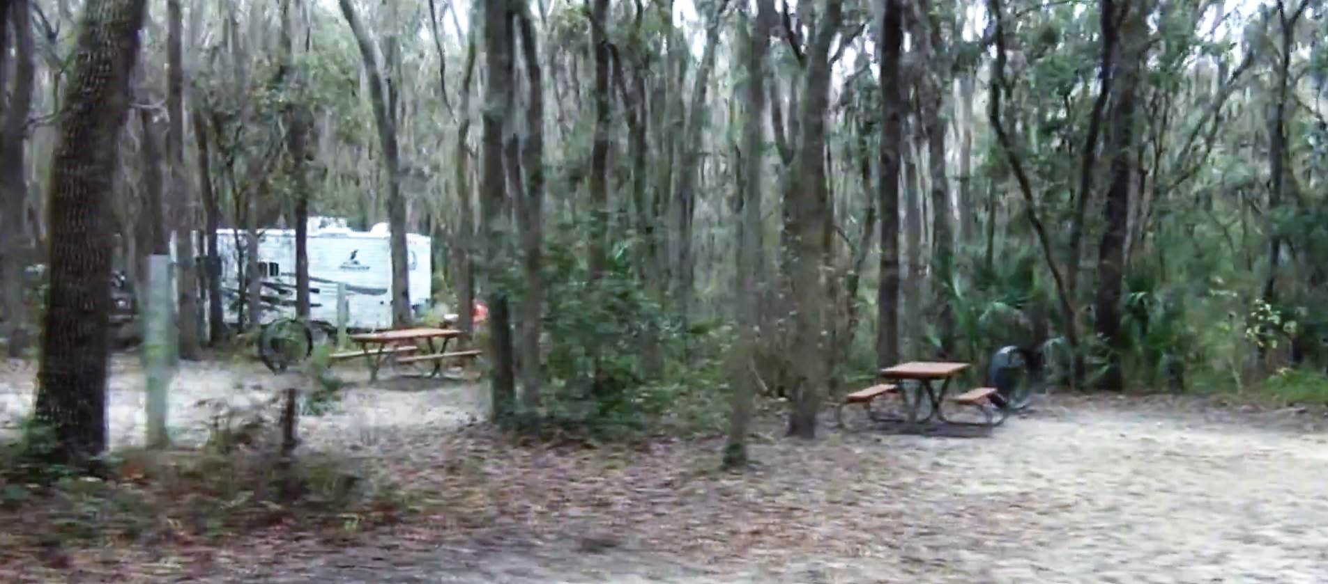 Camper submitted image from Lithia Springs Conservation Park - 2