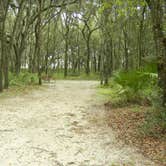 Review photo of Lithia Springs Conservation Park by Elliott B., May 17, 2017
